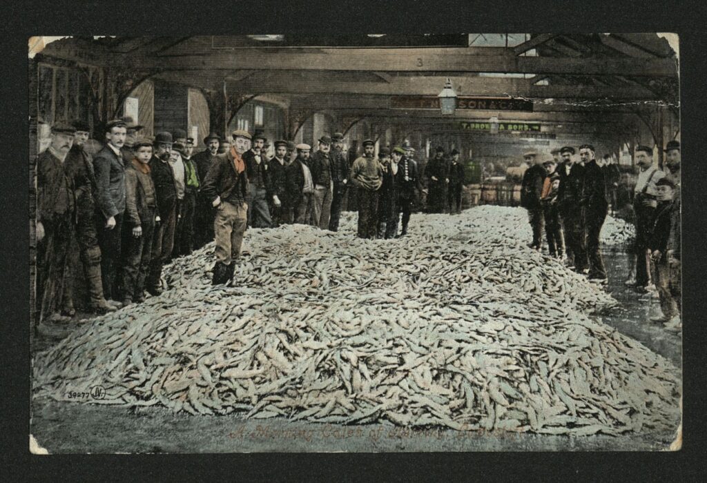 Black and white photograph of men surrounding a large pile of fish at a market.