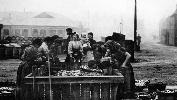 Groups of women wearing full length gret pinafore dresses lean over a large wooden creates to process the fish.