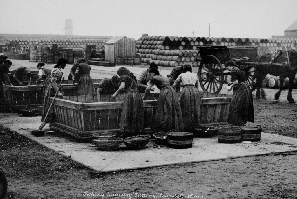 Groups of women wearing full length gret pinafore dresses lean over a large wooden creates to process the fish.