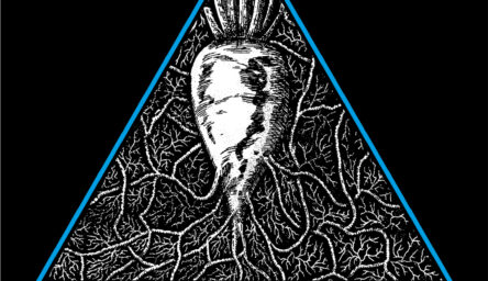 A logo with a blue triangle. Inside the triangle is a sketch of a sugar beet.